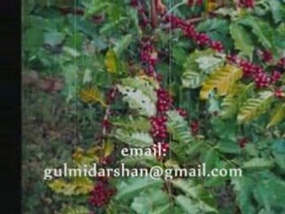 Gulmi Darshan