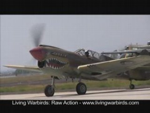 Curtiss P-40N Warhawk - Living Warbirds
