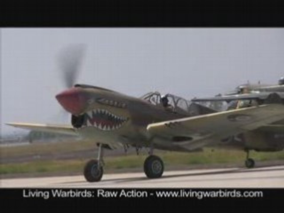 Curtiss P-40N Warhawk - Living Warbirds