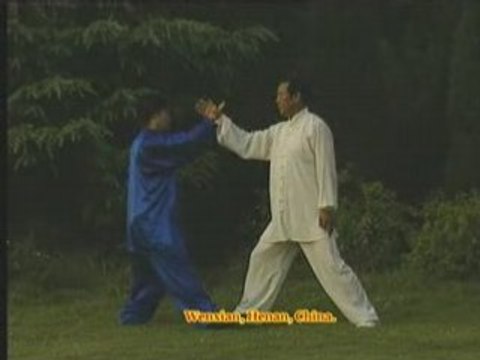 Taiji Style Chen : cours de Tui Shou par Wang Xian