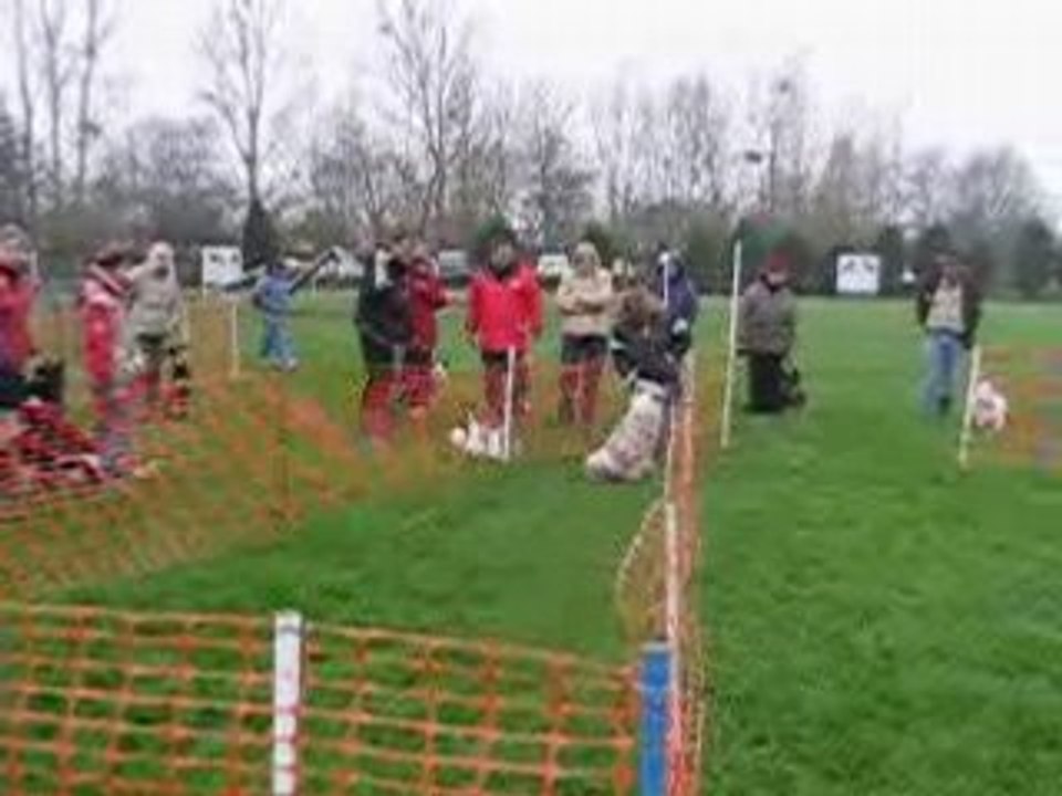 Stage 141108 OBE avec Ortega