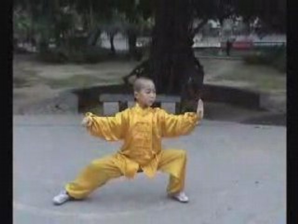 Taiji Style Chen : Etudiant Wang Xian, forme XinJia