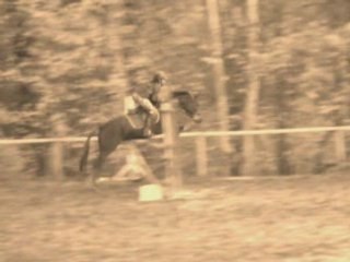 Léa et Nina CSO TEST OI ...