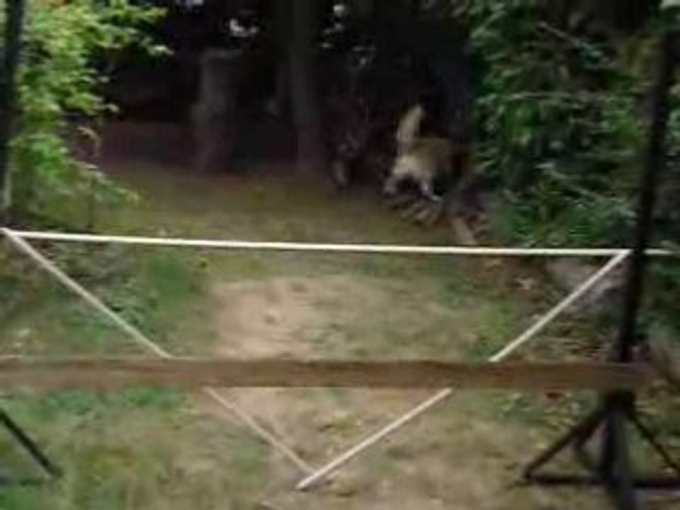 Mon Bébé en saut