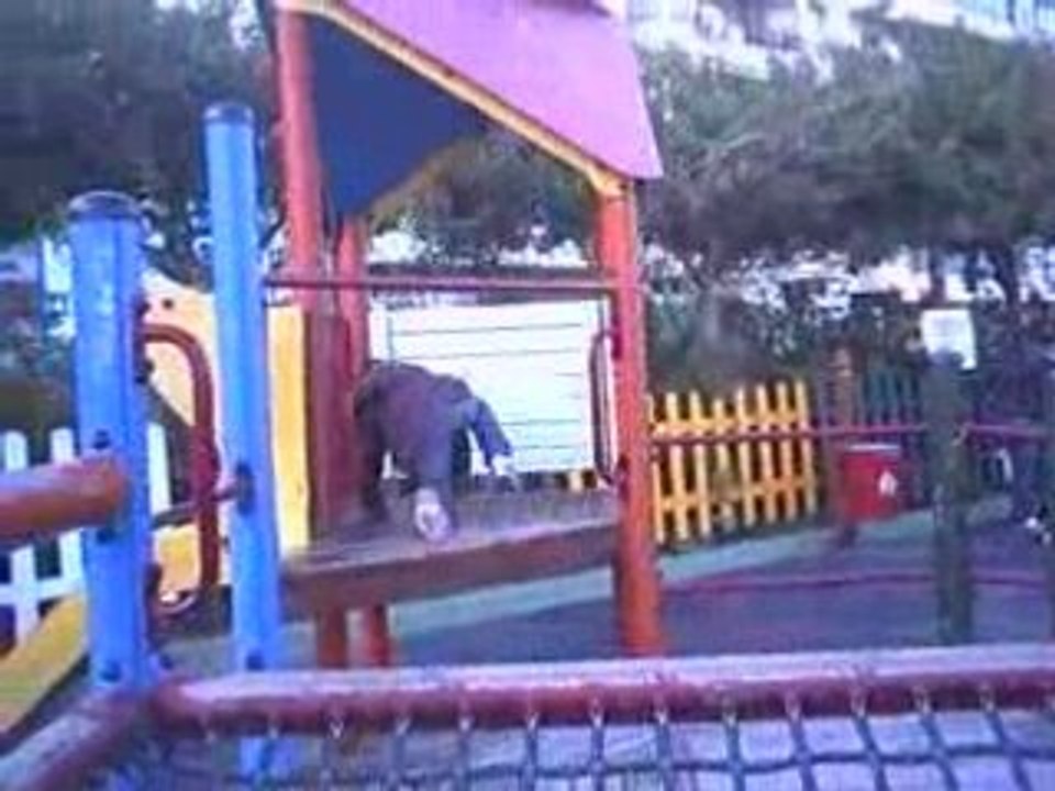 estepona park part 2
