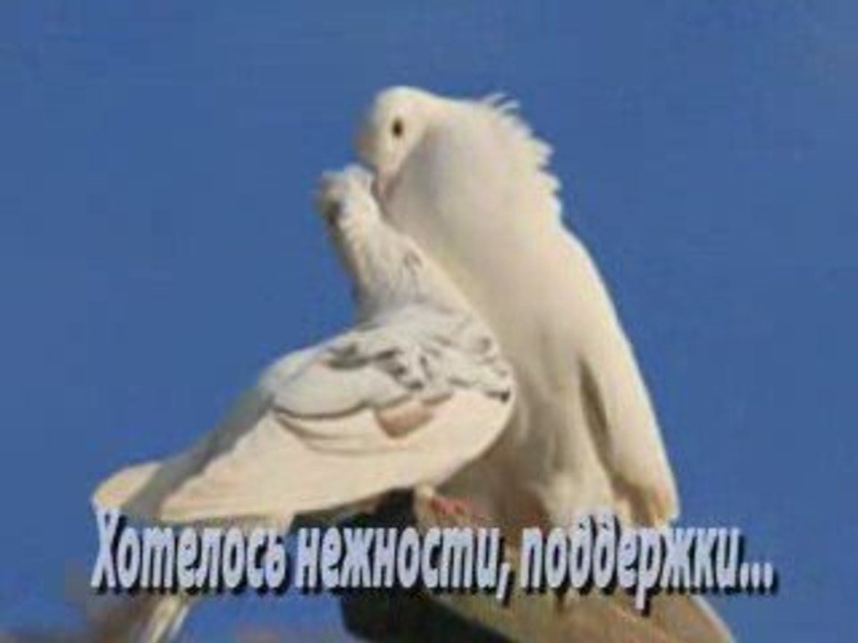 Задержи