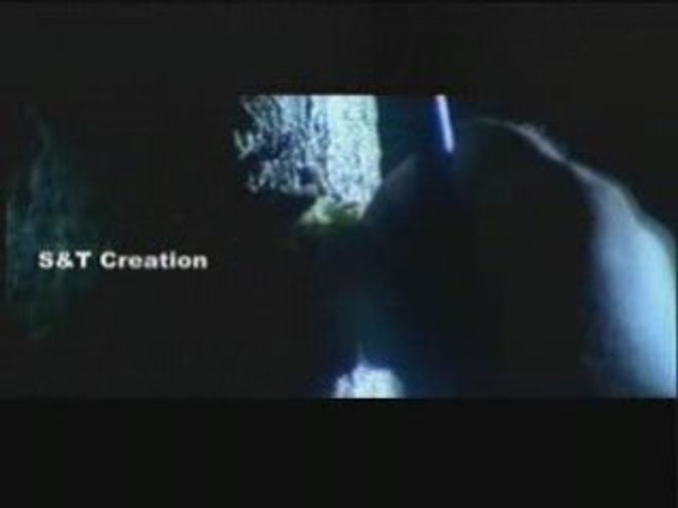 THO SAM 004