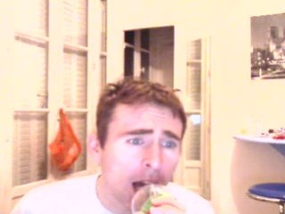 Wiwi égratigne "Les tournesols"