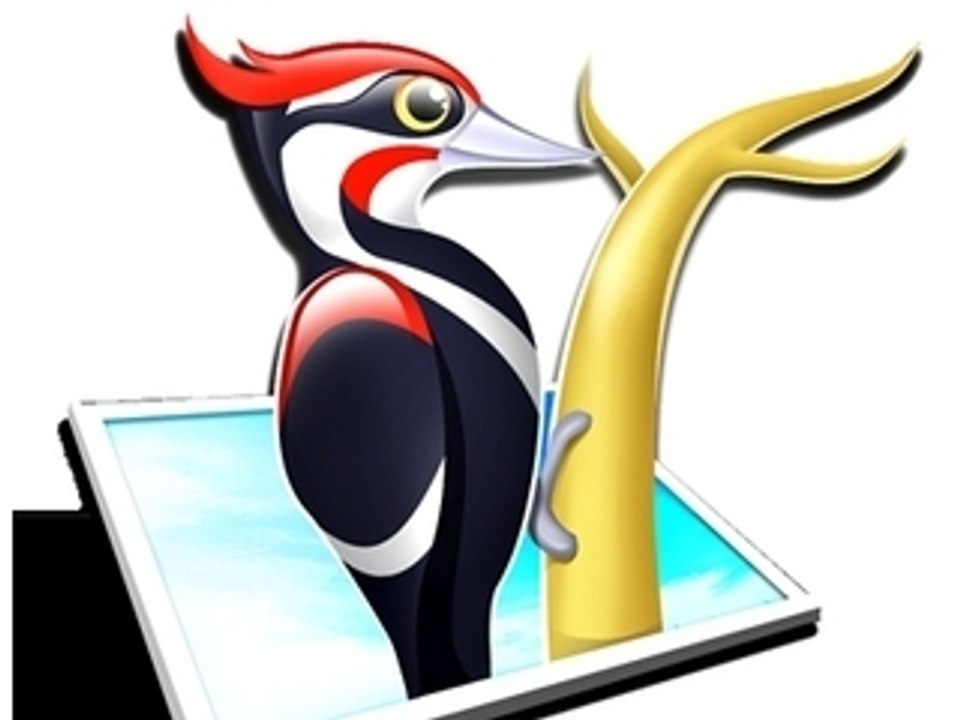 Le Pic Bois(Beau Dommage)