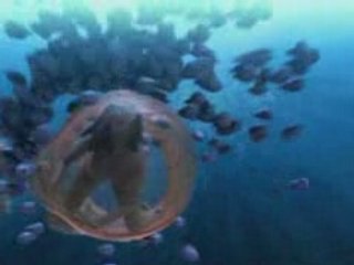 Aides Girl Explore Just Protect Yourself