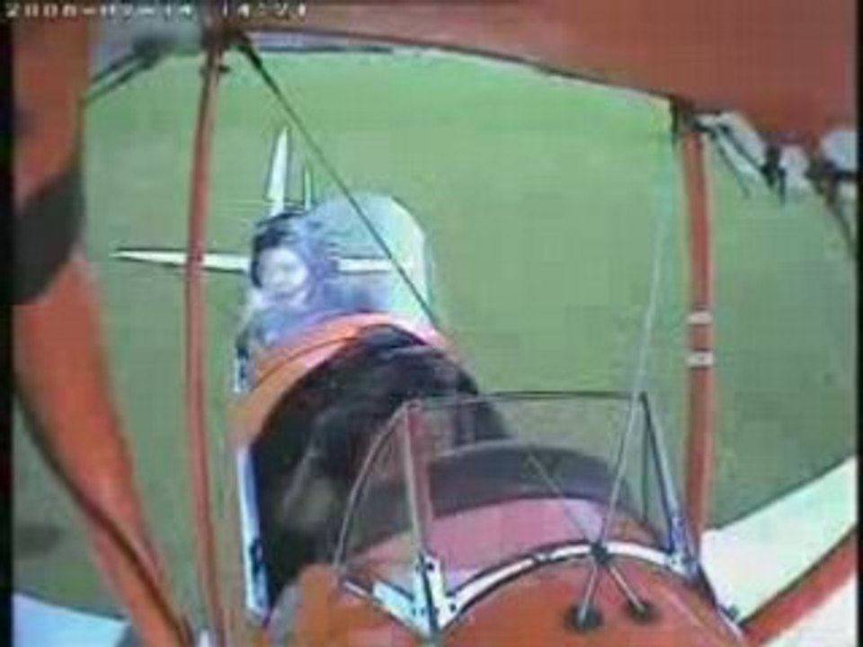 un avion percute une vache