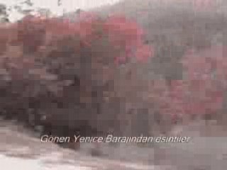 Yol ve Baraj Manzaraları