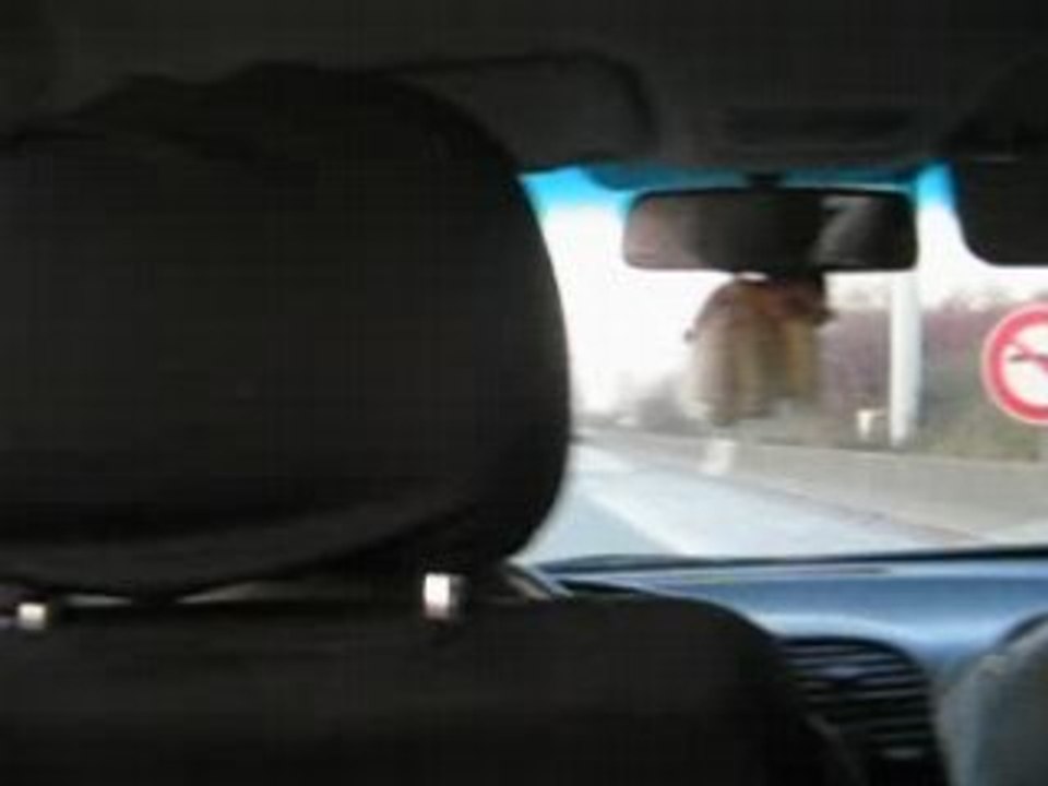 Photo 023