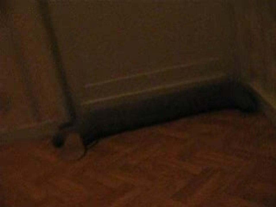 Photo 010