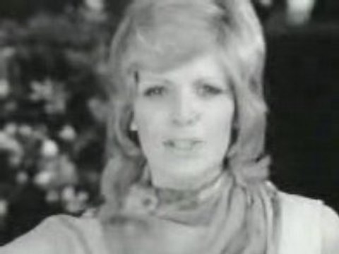 Un banc... un arbre... une rue...