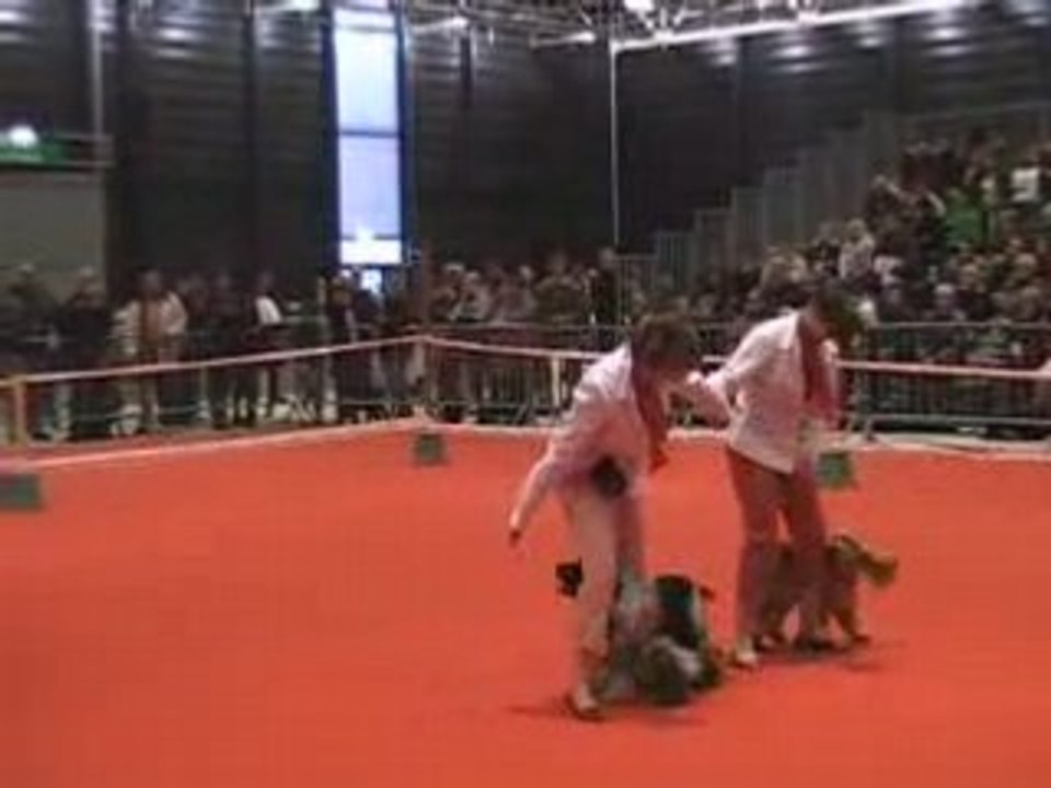 MC avec c'ven et julie avec toupy FIM08