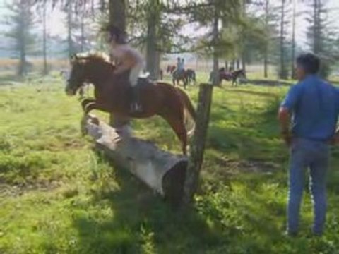 McFly - The Heart Never Lies