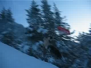 session luge dans le briançonnais