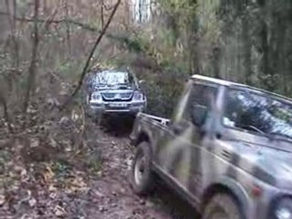 Défilé dans les sous-bois !