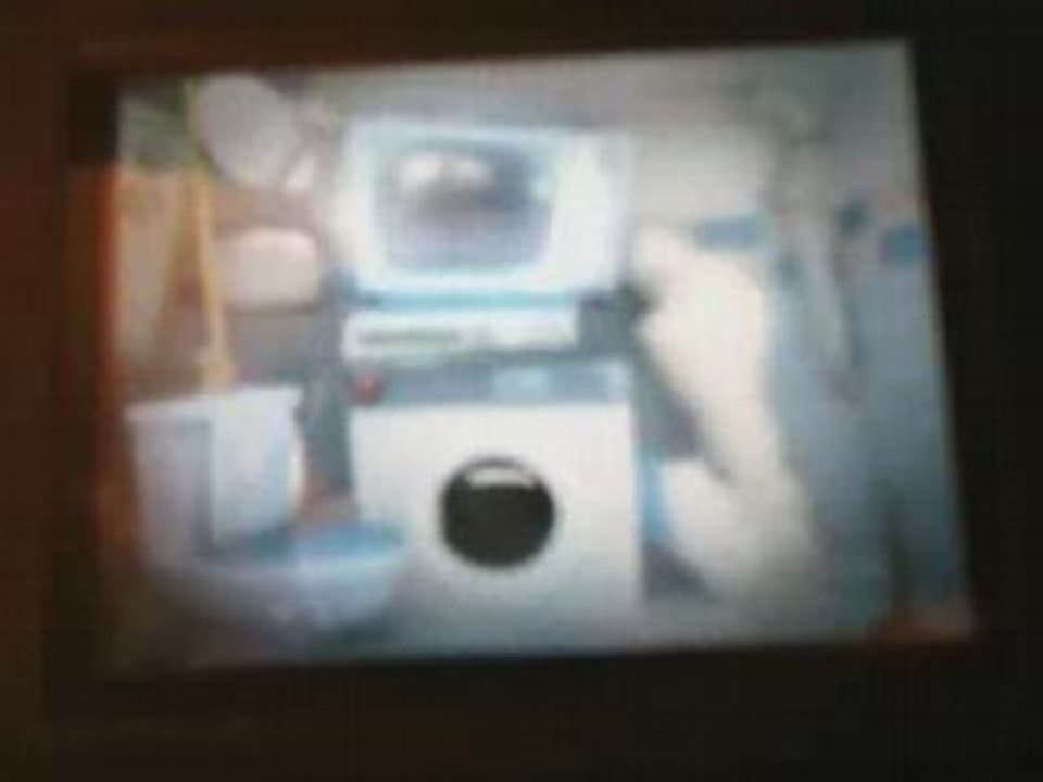 The Lapins Crétins Show DS - 2008, L'odyssée de crétins