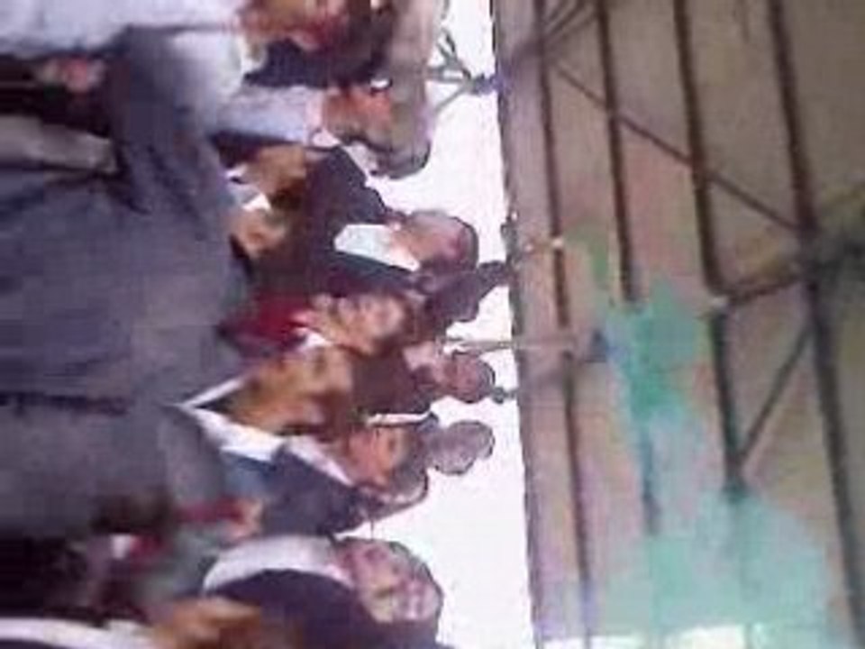 ultrAnibal