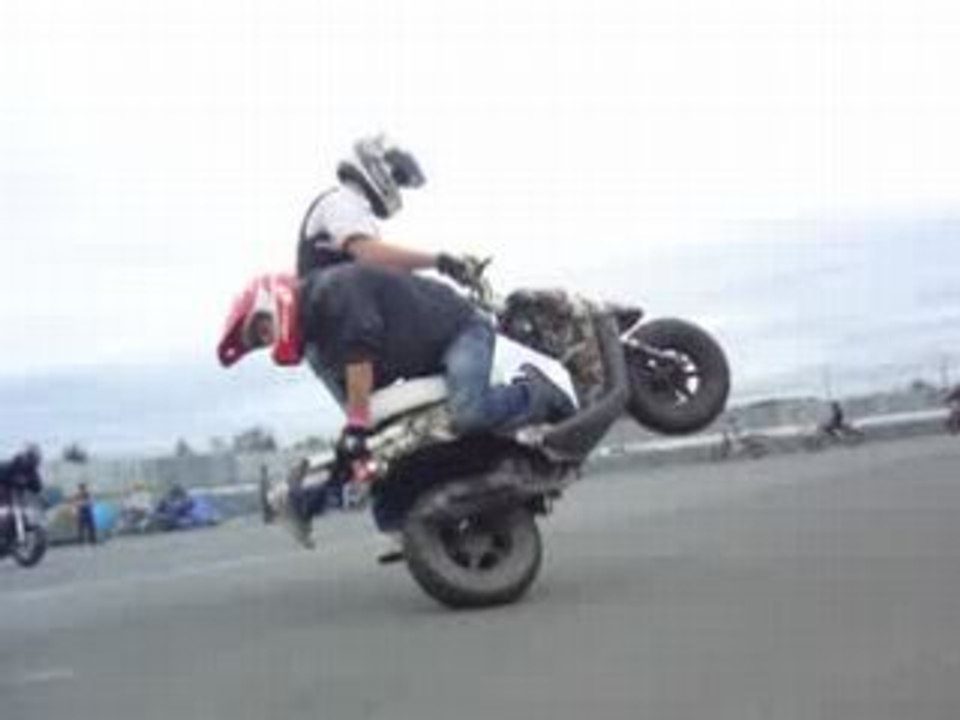rss 4 vinz a nico'