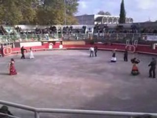 Flamenco avant 2d paséo