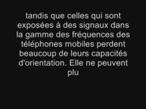 La disparition des abeilles causé par la pollution CEM