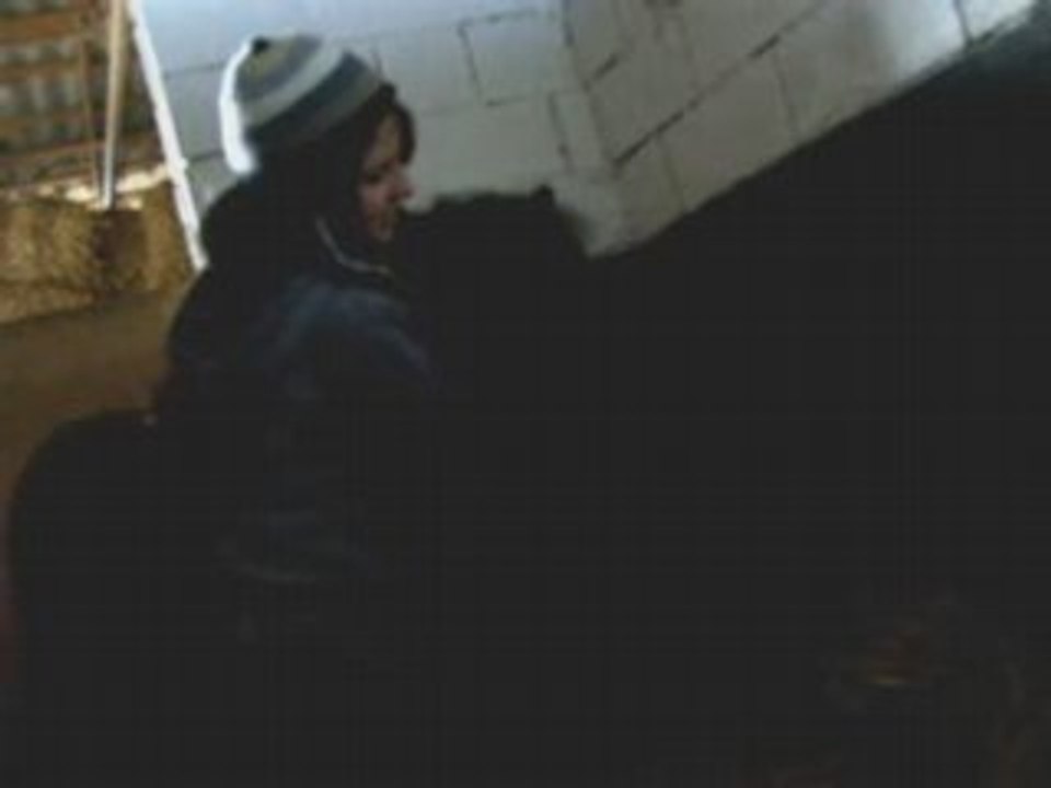 Mon poulinou mini shet et moi .. gratouilles ♥