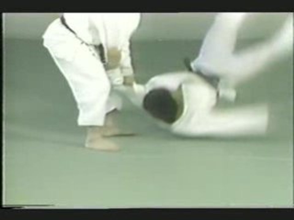 Osawa Sensei Tsubame Gaeshi