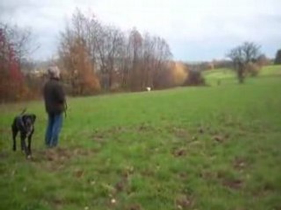 Capturées 2008-11-12 00014