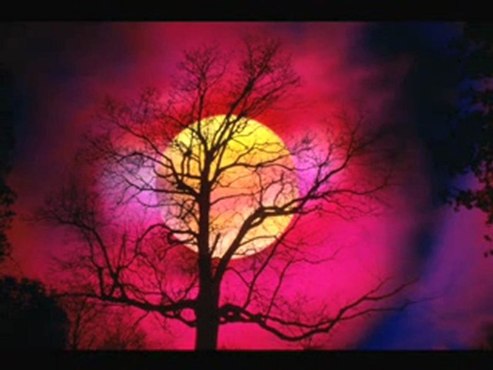 Dites-lui que je l'aime.