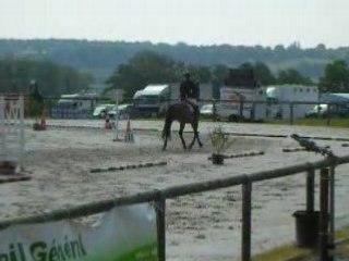 Quinoxe (Cycle classique 4 ans Haras du Pin)