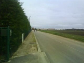 run next scoot warel