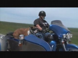 Harley-Davidson/Rider Stories: Tom & Archie