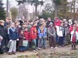 plantation d'arbres