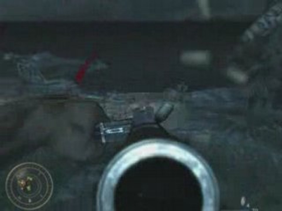 Call of duty 5 In Game