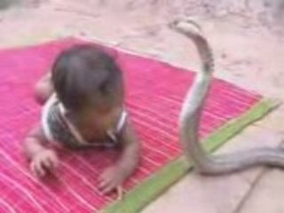 Bébé joue avec un cobra