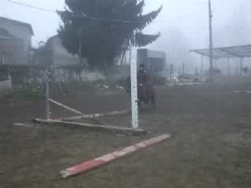DSCF3641