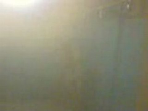 Gare au gorilles dans la brume