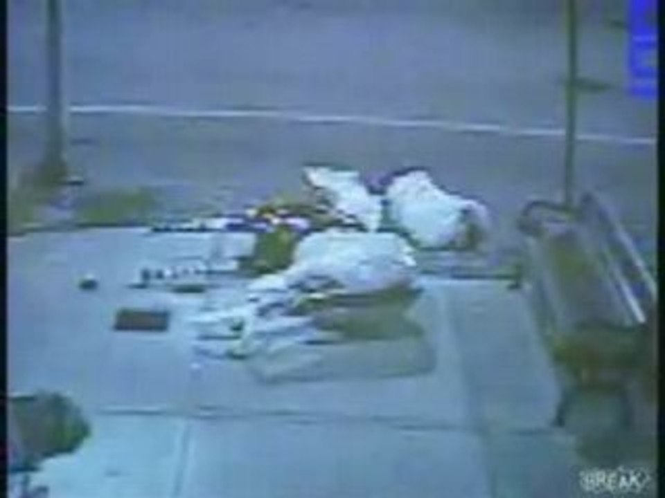 Idiots Destroy Horse Statue