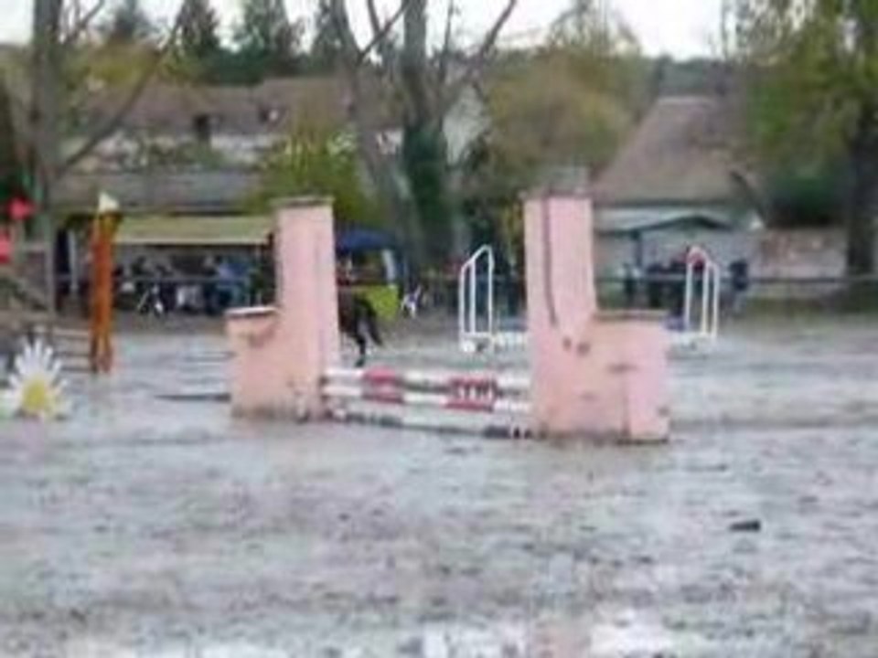 2008_11020028