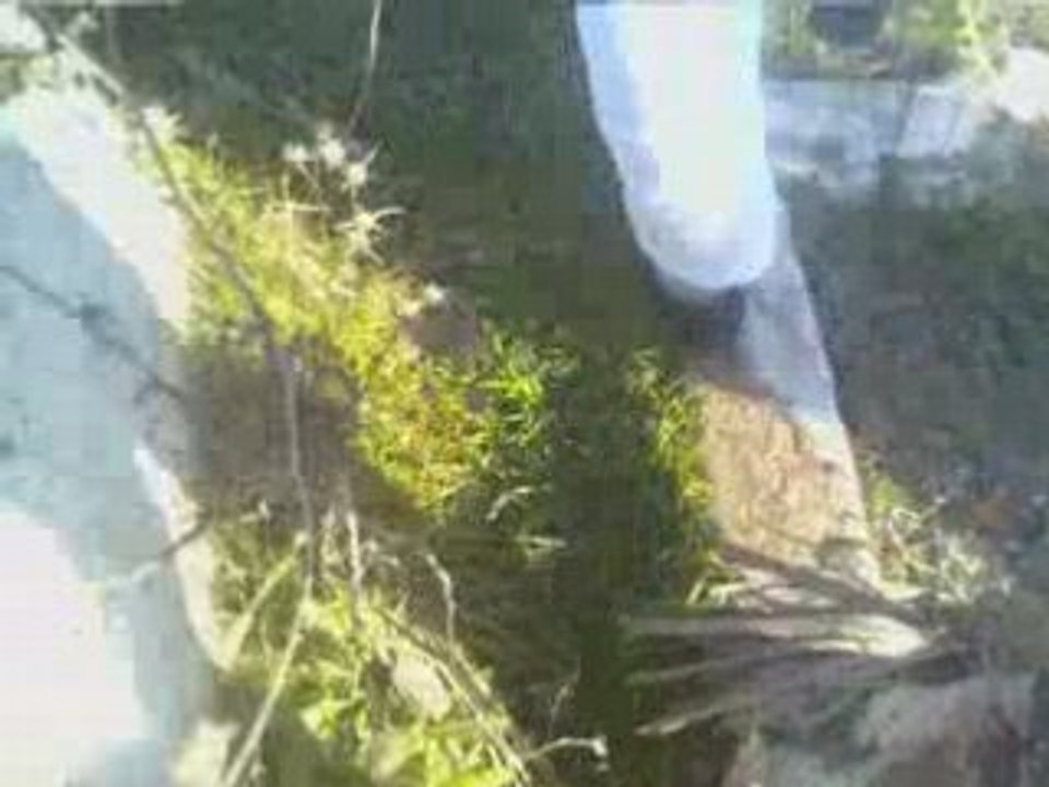 mort de tarik flow