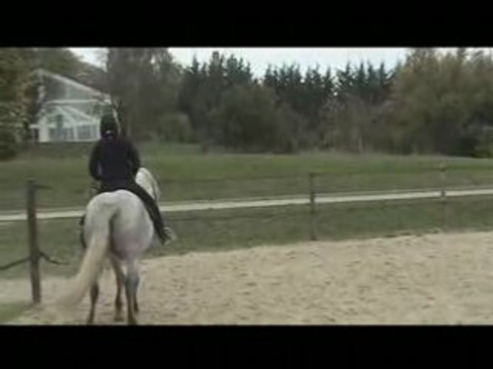 Départ au galop du reculer