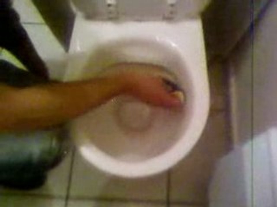 gaetan nettoie les wc