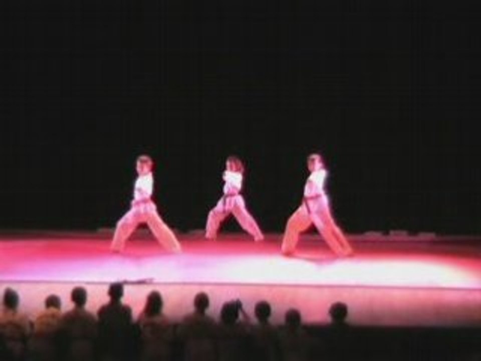 JPS Démo Team Soirée du 14/11/2008