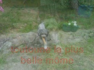 toutoune ma jolie môme...