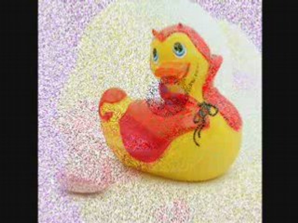 Canard ...