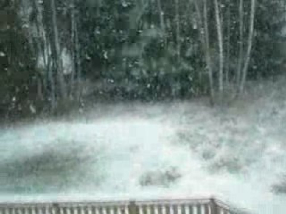 DSCN0894