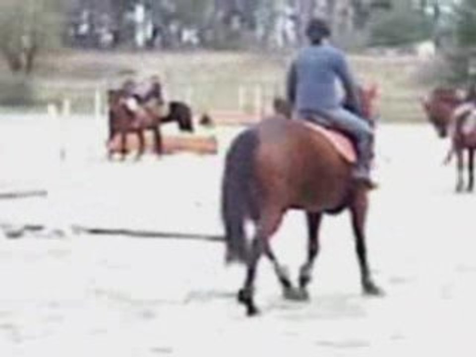 Magica novembre 2008